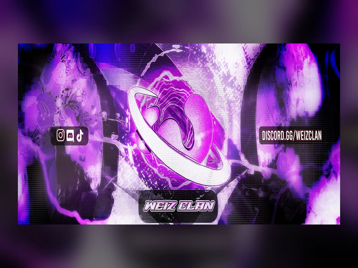 Aperçu de Serveur Header WEIZ